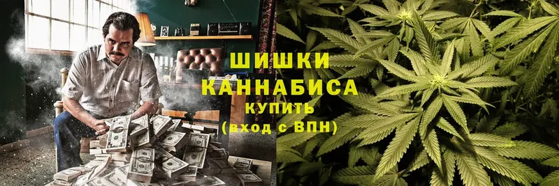 Каннабис White Widow  Кирсанов 